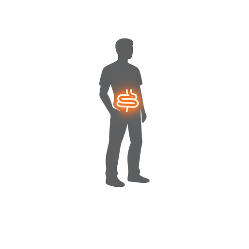 Human gut
